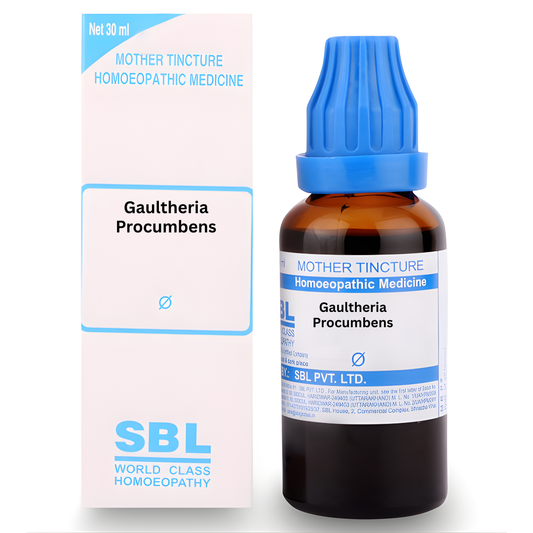 SBL Gaultheria Procumbens Mother Tincture Q