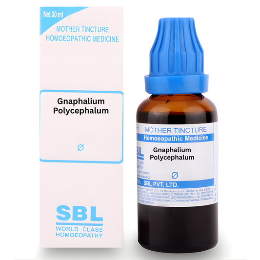 SBL Gnaphalium Polycephalum Mother Tincture Q