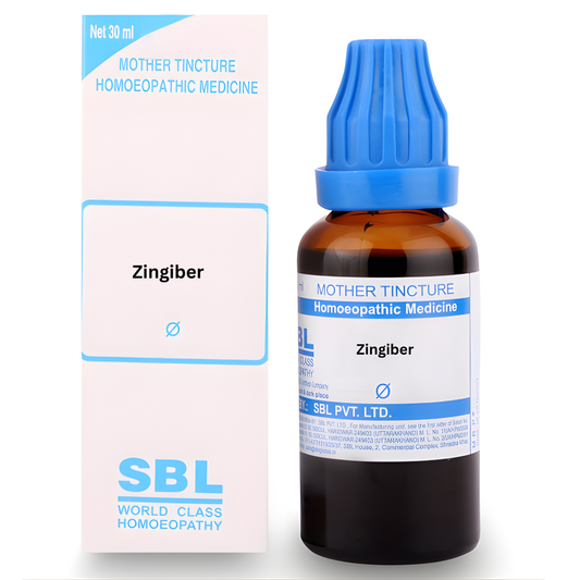 SBL Zingiber Mother Tincture Q