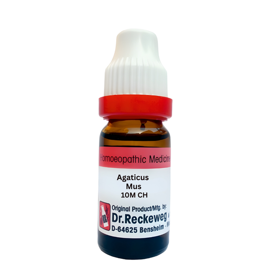 Dr. Reckeweg Agaticus Mus Dilution 10M CH