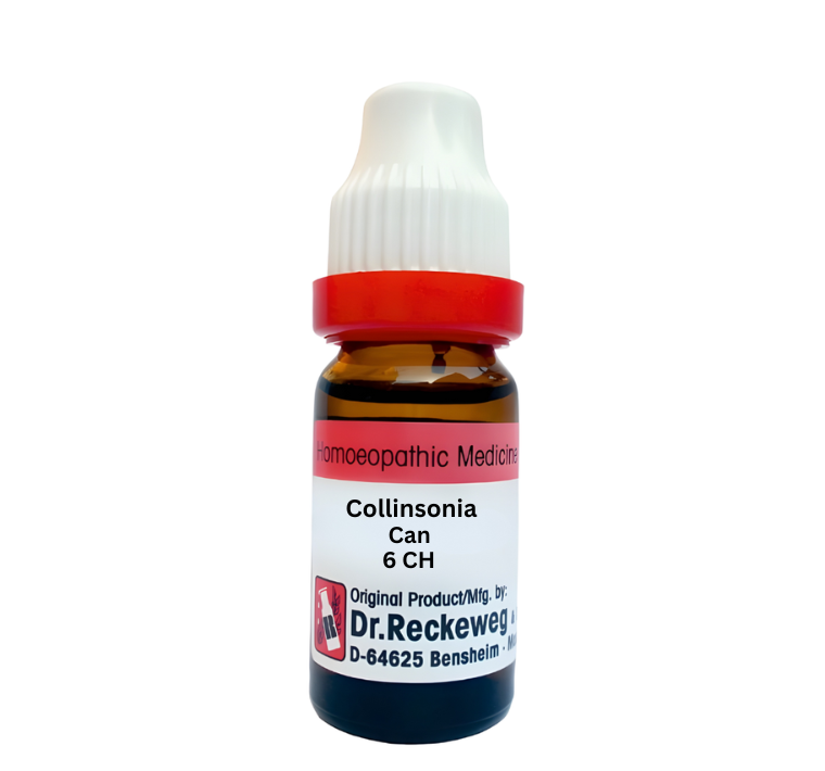 Dr. Reckeweg Collinsonia Can Dilution 6 CH